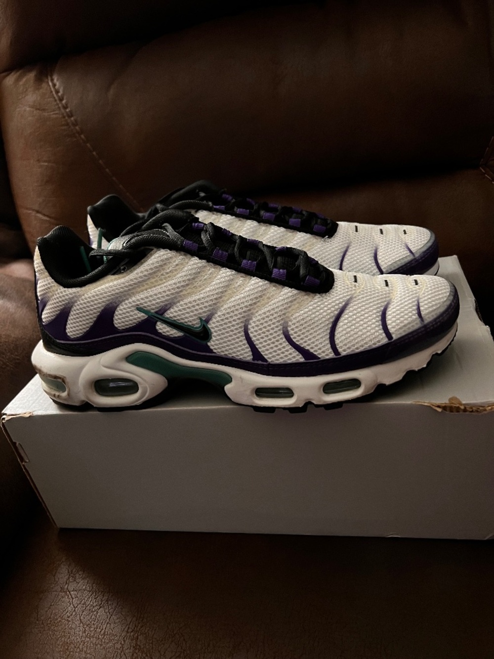 Nike Air Max Plus Pre-Owned